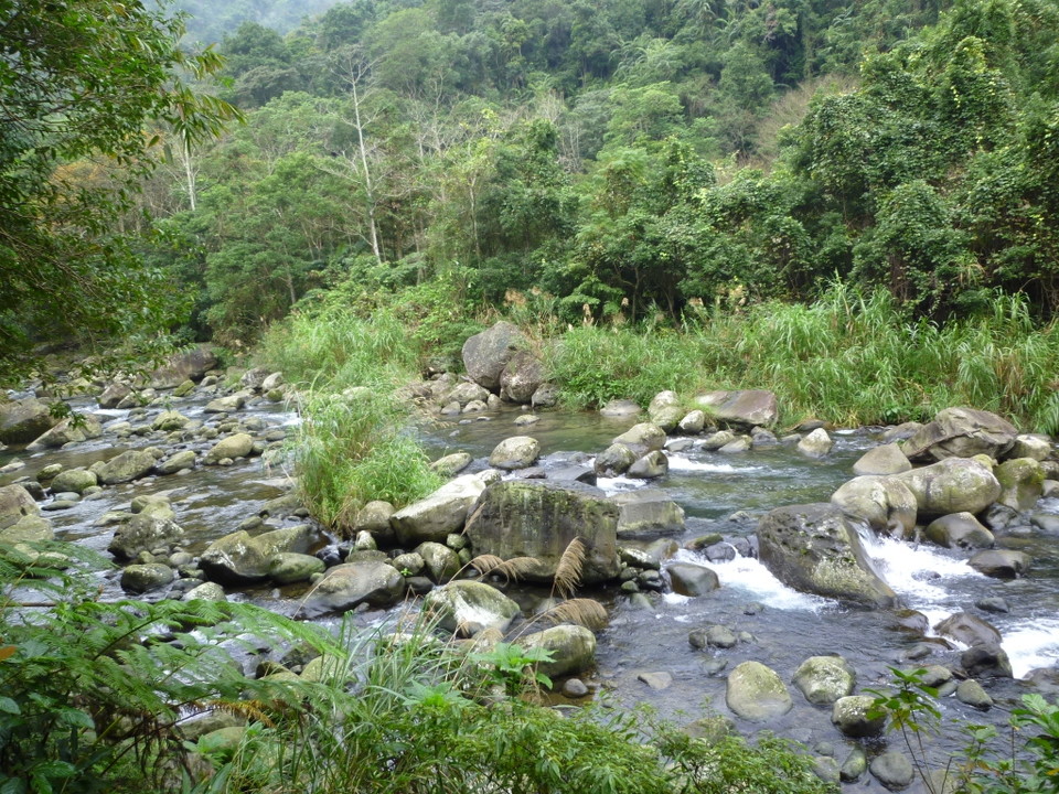 蓬莱渓自然生態区